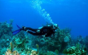 Tour compartido de 3 días y 2 noches por Banyuwangi